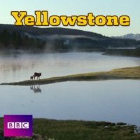 Télécharger Yellowstone, Series 1 Episode 3