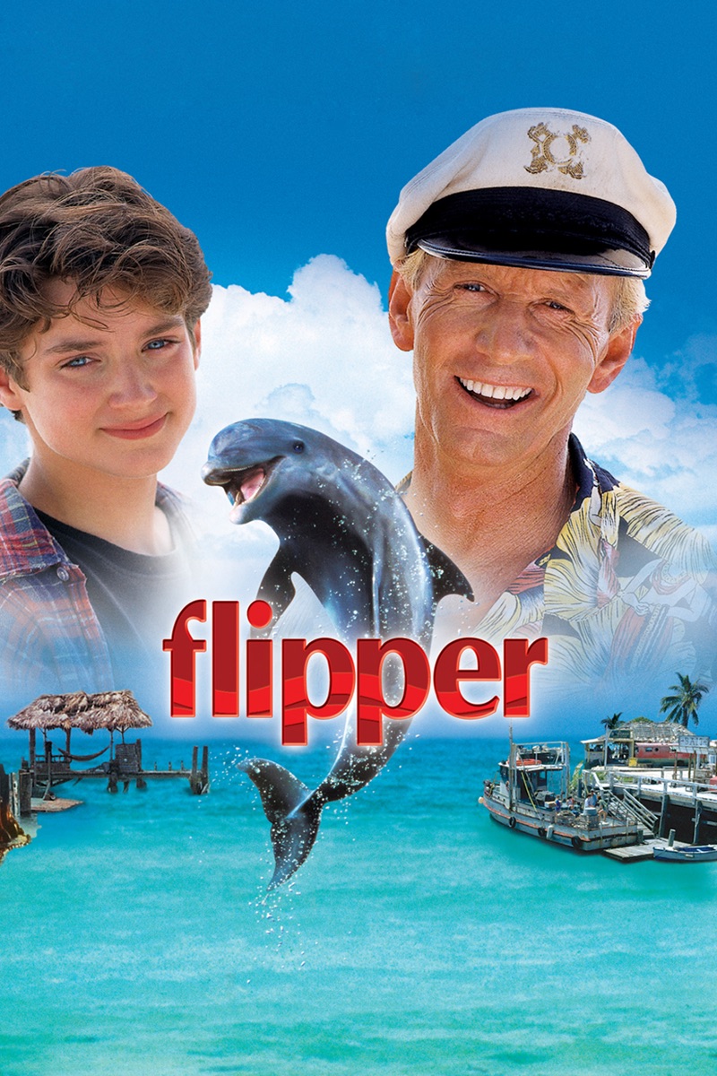 Flipper (1996) artwork