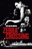 Zebra Crossing - Sam Holland