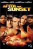 After the Sunset - Brett Ratner