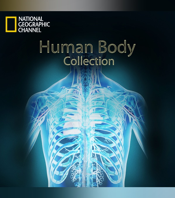 The Human Body, Biology Documentary Series