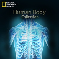 Human Body Collection