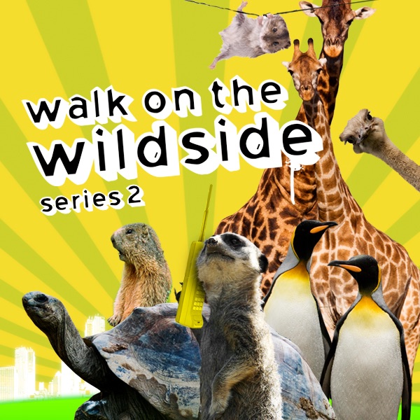 Episode 1