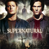 Supernatural, Saison 4 (VF) - Supernatural