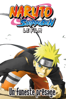 Naruto Shippuden : un funeste présage - Hajime Kamegaki