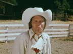 Rhinestone Cowboy