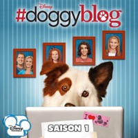 Télécharger #doggyblog, Saison 1 Episode 11