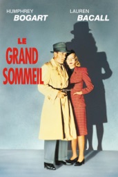 Le Grand Sommeil