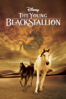 The Young Black Stallion - Simon Wincer