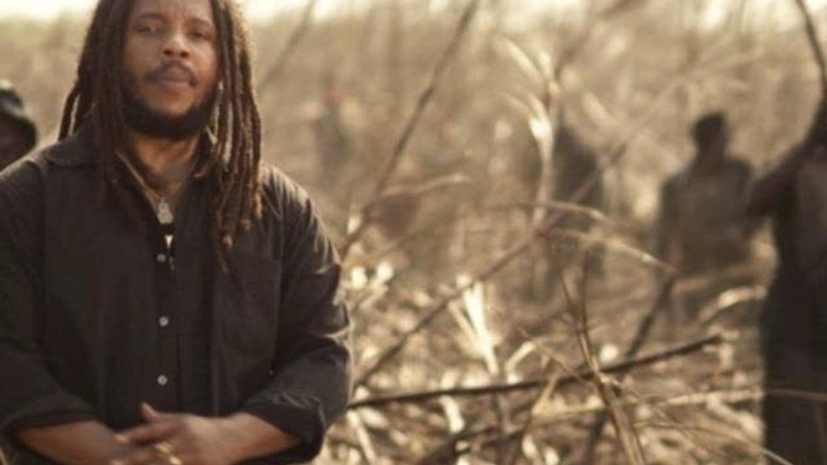 Stephen Marley Revelation Part 1 the root of Life. «Africa» feat. Na na. Stephen Marley. Revelation. Pt.1. the root of Life. 2011. Made in africa