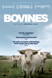 Bovines ou la vraie vie des vaches