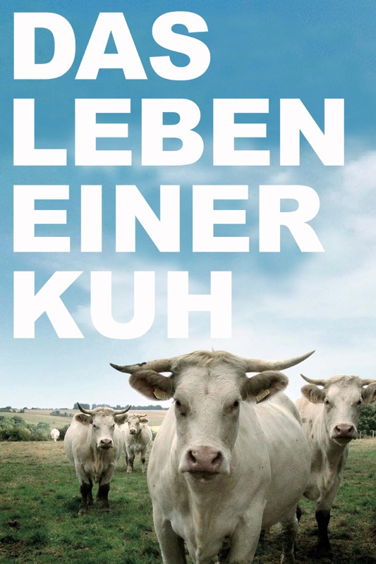 Das Leben einer Kuh