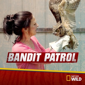 Bandit Patrol, Season 2 - Episode 5