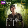 Wonders of Life - Wonders of Life