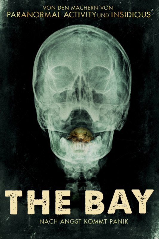 The Bay