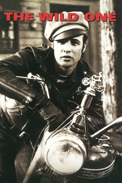 The Wild One Poster