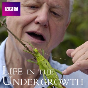 Life In the Undergrowth, Series 1 - Episode 2