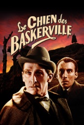 Chien Des Baskerville