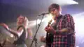 Insekten im Eis