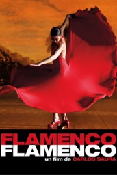 Flamenco flamenco