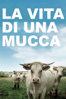 La vita di una mucca - Emmanuel Gras