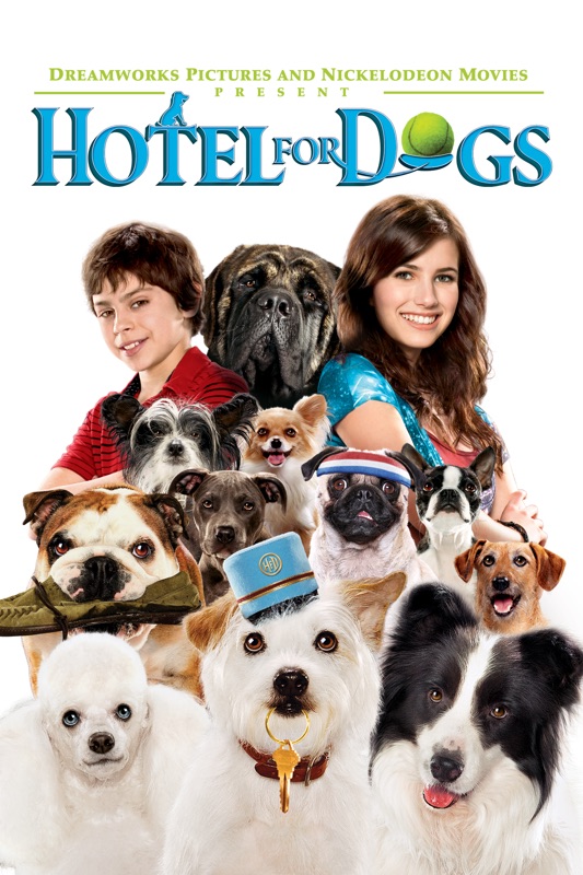 Das Hundehotel