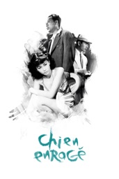 Chien enragé (VOST)