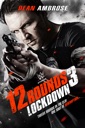 Affiche du film 12 balles et 3 verrouillages (12 Rounds 3 Lockdown)