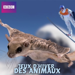 Jeux d'hiver des animaux - Episode 1