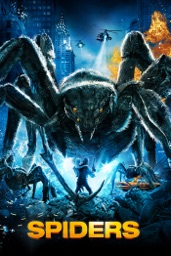 Spiders