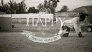 Happy (feat. Derek Martin) - C2C