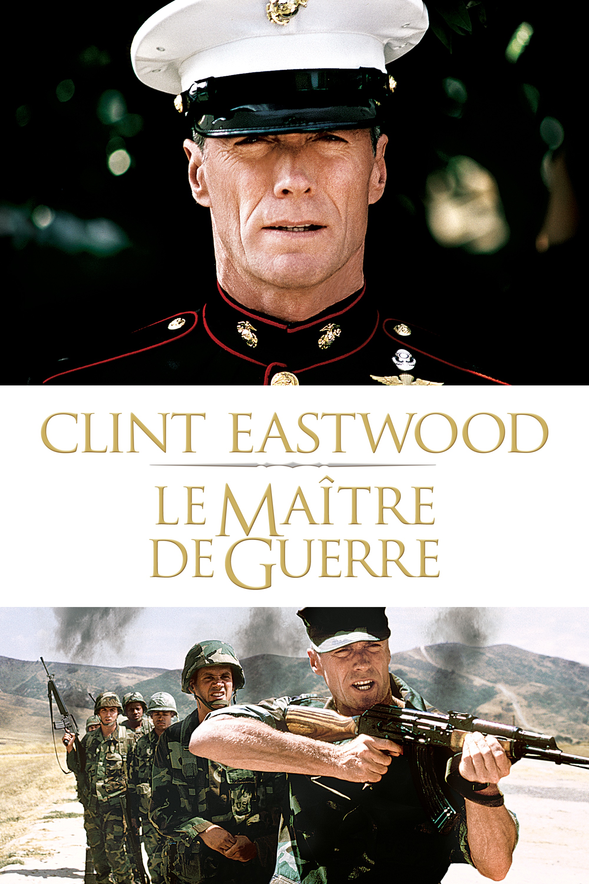LE MAÎTRE DE GUERRE