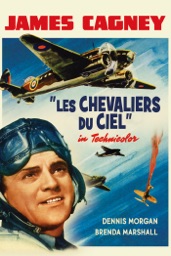 Les chevaliers du ciel
