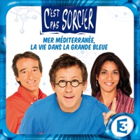 Télécharger C’est pas sorcier, Méditerranée la vie dans la grande bleu Episode 3