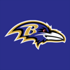 2013 NFL Follow Your Team - Baltimore Ravens - NFL Follow Your Team - Ravens
