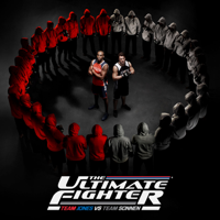 The Ultimate Fighter - Bag of Tools artwork