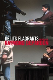 Délits flagrants