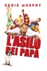 Locandina L'asilo dei papa su Apple iTunes Locandina L'asilo dei papa su Apple iTunes