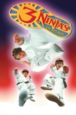 Capa do filme 3 Ninjas em Apuros