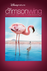 Disneynature: The Crimson Wing - Mystery of the Flamingos - Leander Ward &amp; Matthew Aeberhard Cover Art