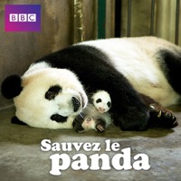 Télécharger Sauvez le panda Episode 1