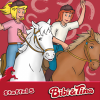 Bibi & Tina - Das Pferdequiz artwork