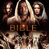 The Bible - The Bible Cover Art