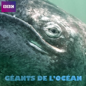 Géants de l'océan - Episode 3