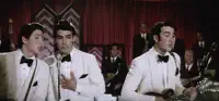 JONAS BROTHERS — LOVE BUG