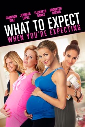 Poster for What to Expect When You're Expecting by Kirk Jones