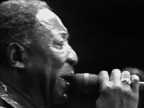 She's Nineteen Years Old (Live at The ChicagoFest)