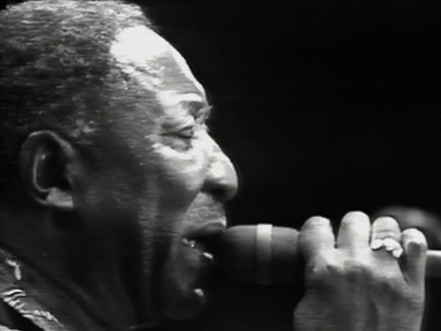 She's Nineteen Years Old (Live at The ChicagoFest)