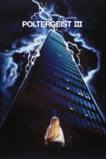 Poltergeist III