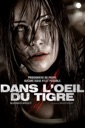 Affiche du film Dans l'œil du tigre